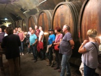 2018.09.08-Bootsfahrt-Weinprobe-MGBB-@-Wü-094.JPG