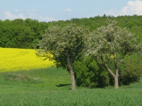 2018.04.29-Impressionen-22.jpg