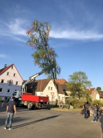 2019.04.30-Maibaum-06-.jpg