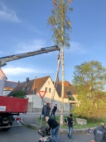 2019.04.30-Maibaum-09-.jpg