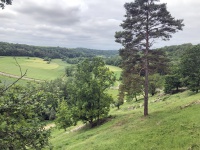2019-06-10-Kunigundenfest06-.jpg