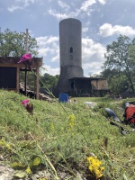 2019-06-15-RBF-Aufbau003-.jpg