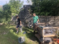 2019-06-15-RBF-Aufbau067-.jpg