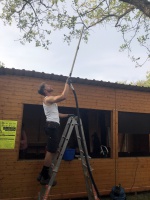 2019-06-19-RBF-Aufbau052-.jpg