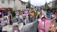 2020.02.24-14-18-01-Faschingsumzug-@-Veitshöchheim-061.jpg