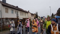 2020.02.24-19-23-42-Faschingsumzug-@-Veitshöchheim-11.jpg