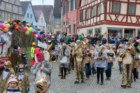 2020.02.25-Faschingsumzug-@-Aub-5.jpg