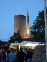 2009.06.12 - RBF Beatabend (43).jpg