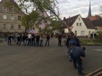 2016.04.30 - Maibaum (08).JPG