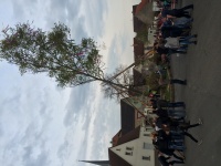 2016.04.30 - Maibaum (10).JPG