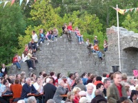2009.06.13 - RBF Samstag (100).JPG