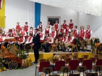 2009.11.21 - Herbstkonzert (096).JPG