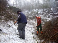 2010.01.30 - Arbeitseinsatz Reichelsburg (04).JPG