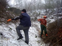 2010.01.30 - Arbeitseinsatz Reichelsburg (05).JPG