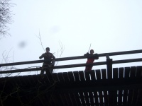 2010.01.30 - Arbeitseinsatz Reichelsburg (07).JPG