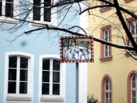 2010.02.16-14 - Faschingsumzüge (30).JPG