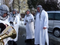 2010.02.16-14 - Faschingsumzüge (52).JPG