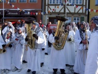2010.02.16-14 - Faschingsumzüge (69).JPG