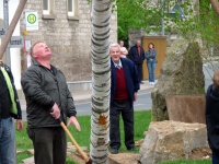2010.04.30 - Maibaum (40).JPG