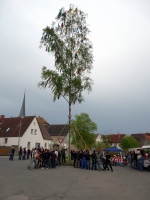 2010.04.30 - Maibaum (42).JPG