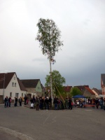 2010.04.30 - Maibaum (48).JPG