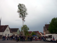 2010.04.30 - Maibaum (49).JPG