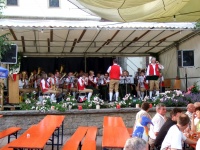 2010.07.04 - Brunnenfest Münster (07).JPG