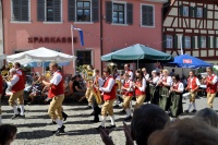 2010.08.22 - Umzug Kirchweih Aub (MB) (15).JPG