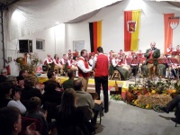 2010.11.20 - Ehrungen Herbstkonzert (68).JPG