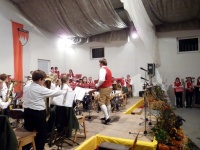 2010.11.20 - Herbstkonzert (101).JPG