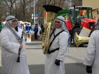 2011.03.06-08 - Faschingsumzüge (13).JPG