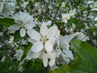 2011.04 - Impressionen (16).JPG