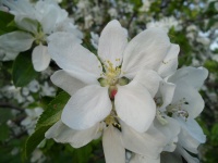 2011.04 - Impressionen (17).JPG