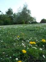 2011.04 - Impressionen (18).JPG