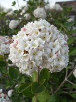2011.04 - Impressionen (22).JPG