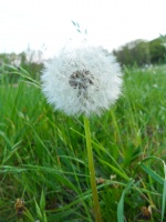 2011.04 - Impressionen (26).JPG