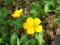 2011.04 - Impressionen (41).JPG