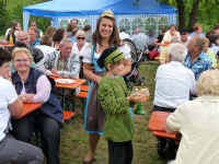 2011.06.26 - RBF Weinprinzessin Bullenheim (14).JPG