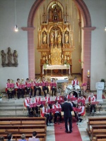 2011.07.10 - Konzert Jugendorchester (08).JPG