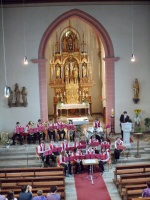 2011.07.10 - Konzert Jugendorchester (20).JPG