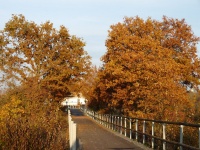 2011.11-12 - Herbststimmung (05).JPG