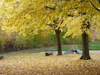 2011.11-12 - Herbststimmung (07).JPG