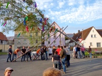 2012.04.30 - Maibaum (04).JPG