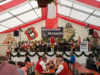 2013.05.20 - Bratwurstfest Ochsenfurt (10).JPG