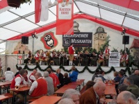 2013.05.20 - Bratwurstfest Ochsenfurt (17).JPG