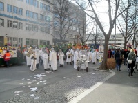 2014.03.02-04 - Faschingsumzüge (12).JPG