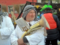 2014.03.02-04 - Faschingsumzüge (22).JPG