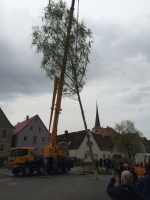2015.04.30 - Maibaum (08).JPG