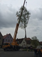2015.04.30 - Maibaum (09).JPG
