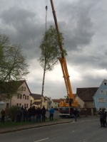 2015.04.30 - Maibaum (10).JPG